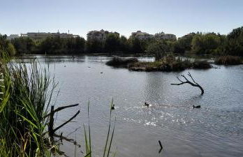 EL PEÑÓN IDÍLICO PISO A PIE DE Playa - Foto 27