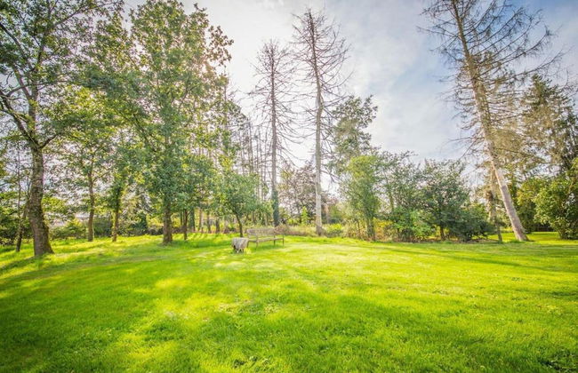 Amazing Lodge With Shared Pool - Photo 19