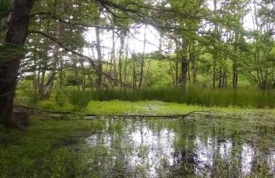 Agriturismo Le Roghete - Foto 59