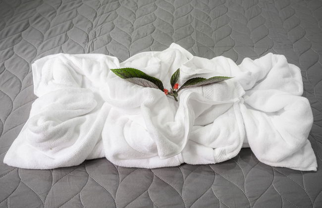 Terminal Verde - Foto 12