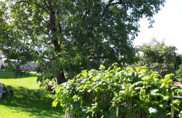 Ferienwohnung im Seidlerhof mit Balkon und Garten - Foto 4