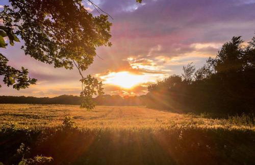 The Wobbin, Remote, Comfort, Sea Views and the beautiful Essex Marshes - Foto 17