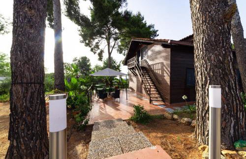 Villa Rosemary - Photo 74