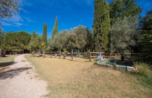 L’oliveraie Écuries Mas di Gau - Foto 33