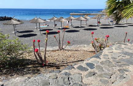 Hübsche Ferienwohnung mit 2 Schlafzimmern, Pool und WLAN, Strandnähe - Foto 19