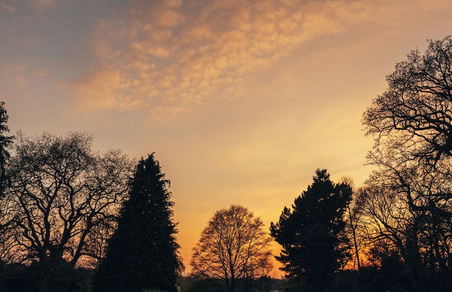 West Lexham - Photo 30