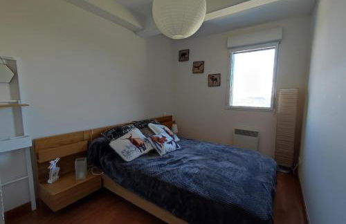 Le Cosy Pyrénées pied de pistes Sérias - Foto 10