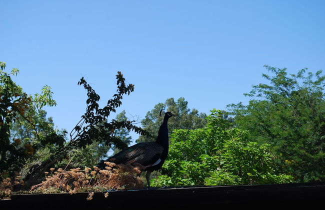 Vivienda Rural el Retorno - Foto 38