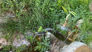 Apartamentos Los Parrales - Foto 5