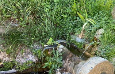 Apartamentos Los Parrales - Foto 5