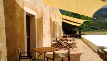 2 Gatti - Sogno - Foto 2