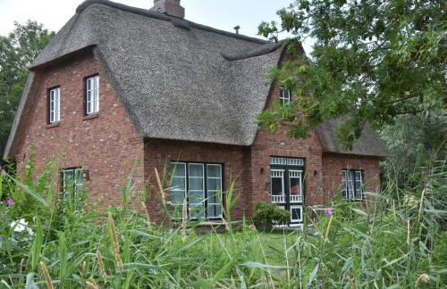 Möwen-Nest - Foto 38