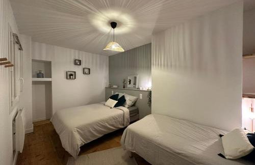 Magnifique appartement Eaux Bonnes T5 - Photo 9