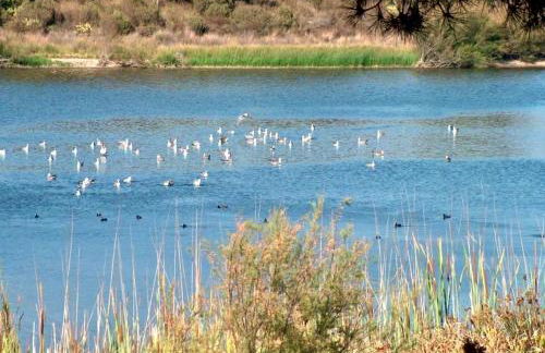paqo lodge Laguna del Portil, a 400 metros de la playa - Foto 30