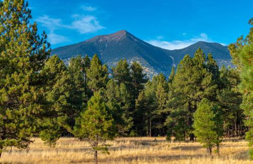 New Flagstaff House Near Mt Elden and Downtown - Foto 26