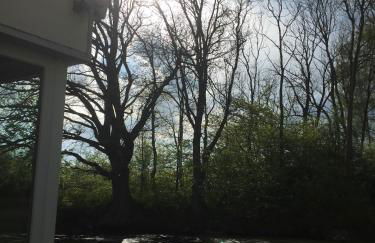 Blauer Salon - Foto 10