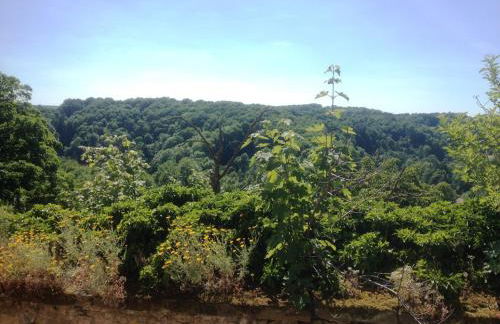 Gästehaus am Plönlein - Foto 35