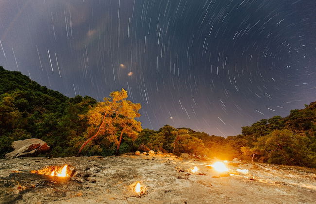 Kadir's Tree Houses - Photo 40