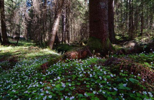 Residence Vis à Vis - Foto 17