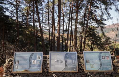 Faodail Glenlia - Foto 32