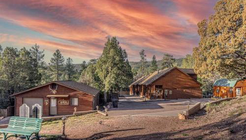 Cabin #6 Bobcat Bunkhouse - Pet Friendly - King Bed - Sleeps 4 - Foto 2