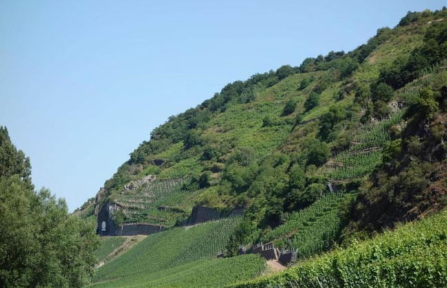 Apartment in Twistetal Oberwaroldern - Foto 25