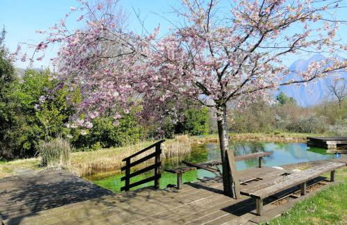 IseoLakeRental - Villa Dossello - Foto 17