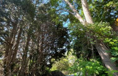 Goodbye Moon Apartment - Foto 62