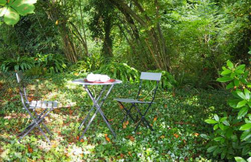 Le bois aux Ecureuils - Foto 3