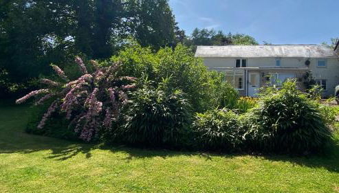 Silhouette Cottage - Foto 2, Garden