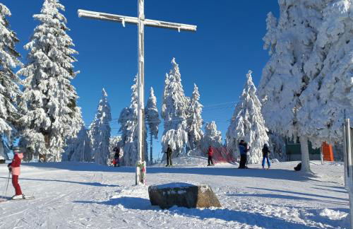 Apartements 270-275 Mitterdorf - Foto 19