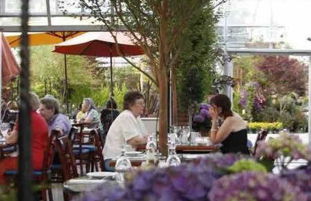 Country Charmer Single Story Cottage Pet Friendly - Foto 37