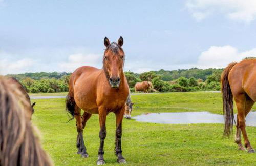 4 Bed in Salisbury oc-82799 - Photo 3