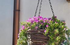 CasaSignorina - Foto 46