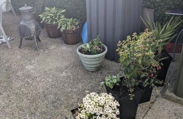 Cosy cottage with sea & mountain views Carnlough - Foto 19