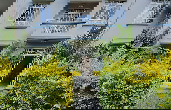 Allamanda Studios and Apartments - Photo 31