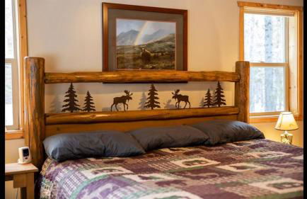 Island Park Hideaway -Bill's Island -Hot Tub -BBQ - Foto 36