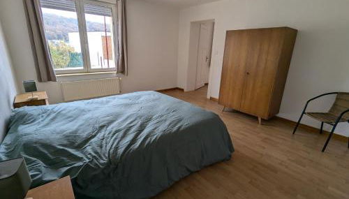 Appartement spacieux 2 chambres 100m2 centre petite ville - Foto 3