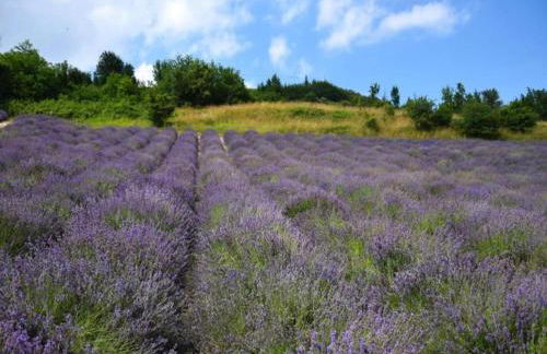 Apartment with large covered terrace, in small residence with swimming pool - Foto 86