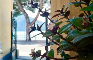 Lake Como PORTO VECCHIO - Charming Lakefront Apartment in the Heart of Domaso - Foto 25
