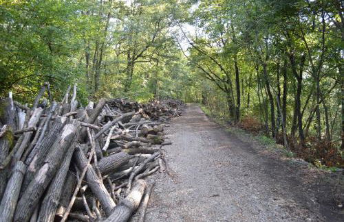 Agriturismo Cavazzone - Foto 58