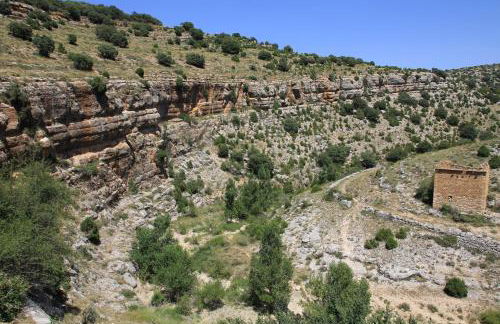 MOLINO DOLZ - Foto 32