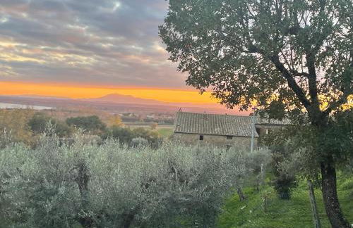 Private Stone Cottage with Starlink & Lake View - Foto 9