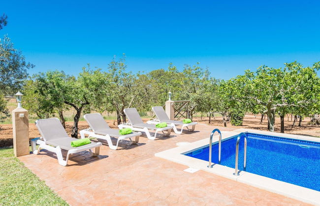 Ca Na Barbara in Santa Maria del Cam - Photo 5