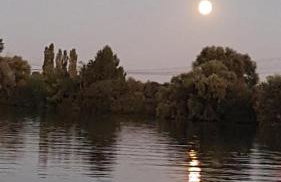Péniche sur la Seine avec terrasse 6 pers - Ja-De - Foto 4