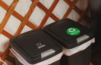 Cosy yurt at a nature retreat in Dunlap CA - Photo 15