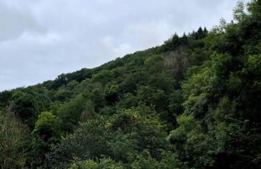 Casa Rural Gaztandizabal - Foto 17