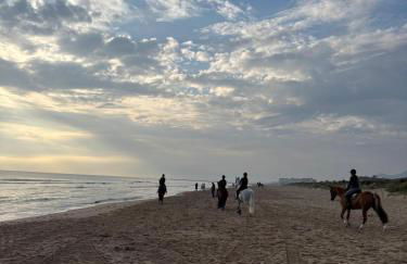 MET Oliva Nova Playa chalet grande con jardín MET a 5 minutos y a 3 de la playa - Photo 21