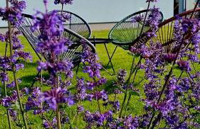 Siedlisko na wydmach, sauna,podgrzewane jacuzzi,domki klimatyzowane,starlink internet,parking - Photo 31