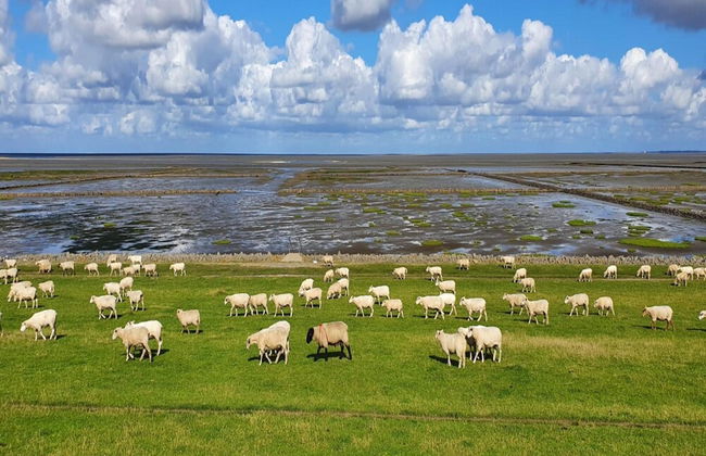 Ferienwohnung in Westerdeichstrich - Foto 17